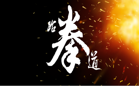 武术 跆拳道 锻炼